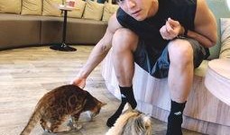 今日娱乐爆料彭于晏视频,幕后故事引网友热议