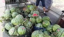 韩城吃瓜最新事件爆料,最新爆料揭秘幕后真相